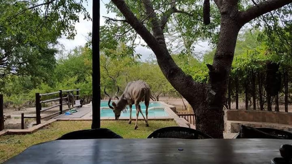 Villa - Sleeps 10 - Pool - Patio - Housekeeping