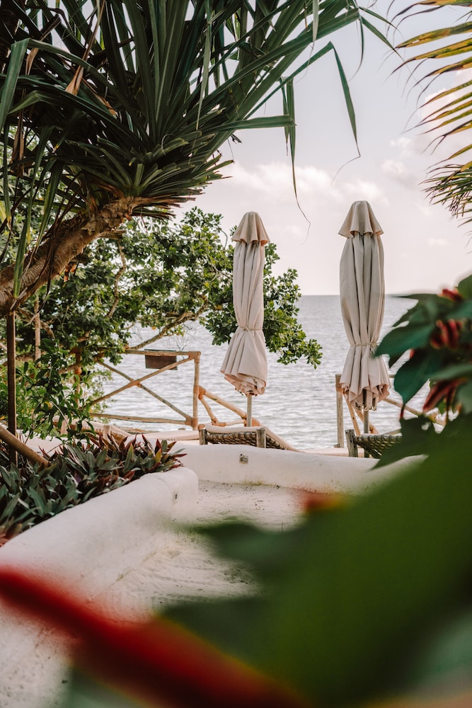 The Island - Pongwe Lodge - Adults Only