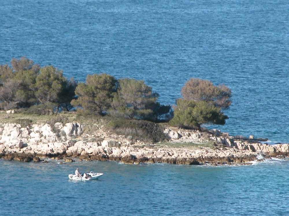 Photo 42
