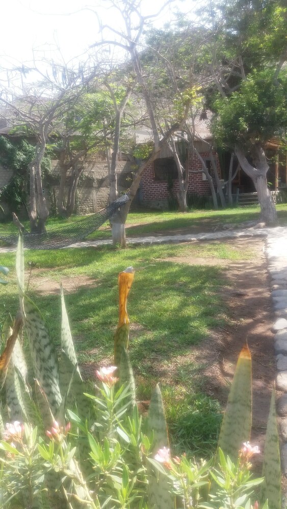 Hostal Camping Naylamp - Hostel, photo 12