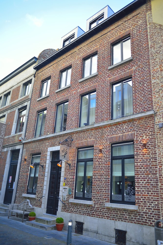 De Koddige Kater