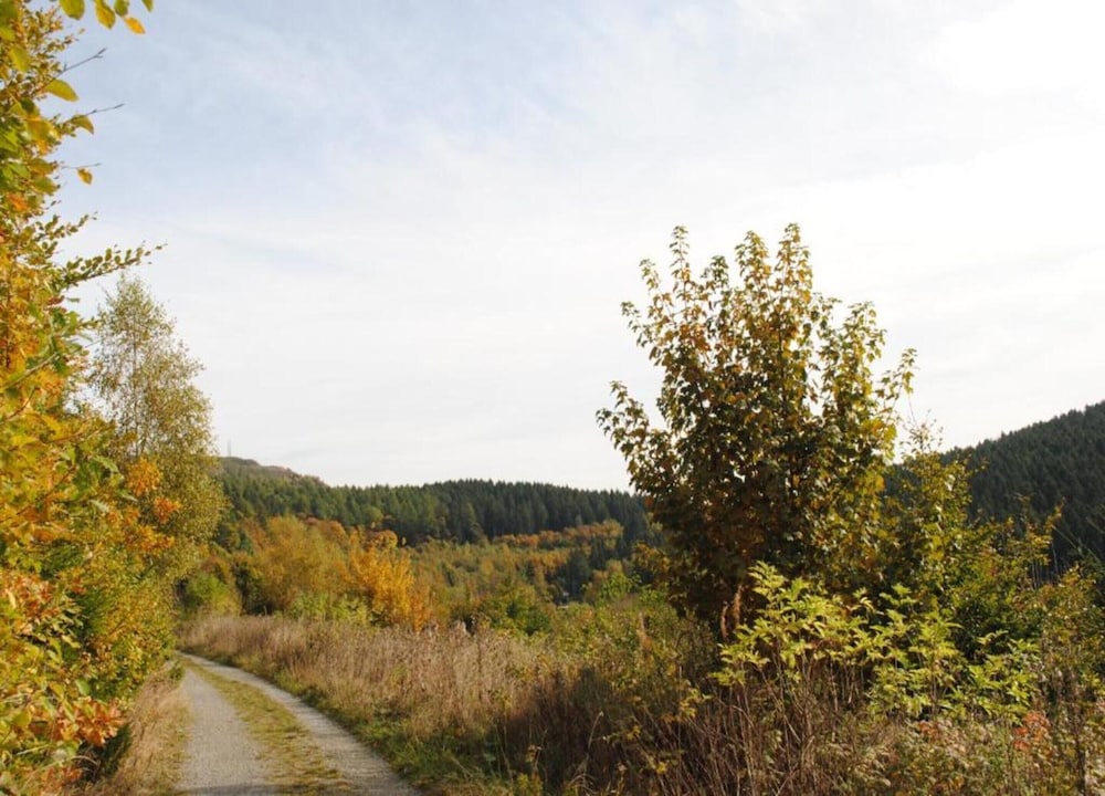 Appartementen Am Forstweg Yalet