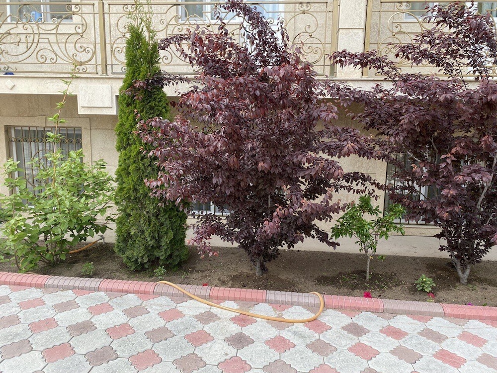 Photo 26