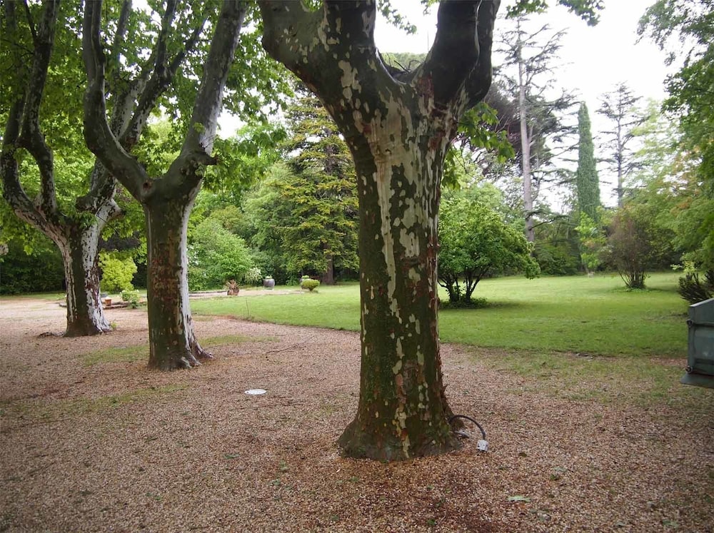 Photo 37