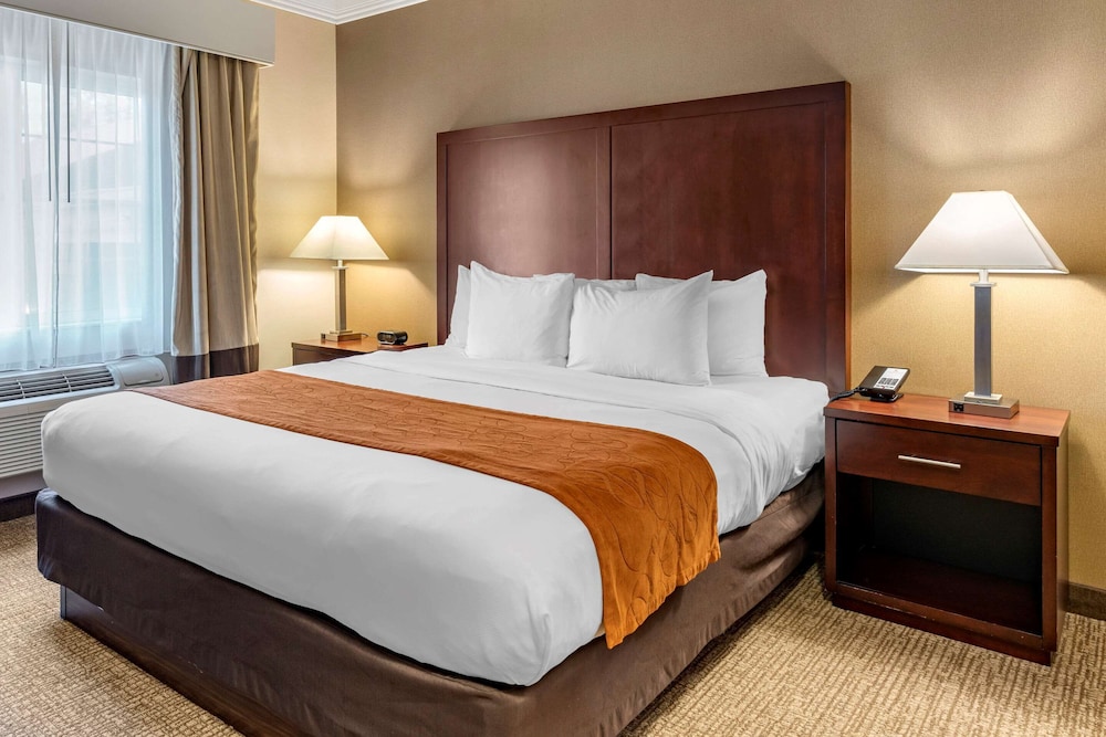 Albany Vacations - Comfort Suites Linn County - Property Image 15