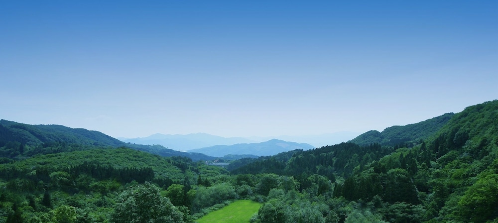 Gokan no Yu Tsuruya