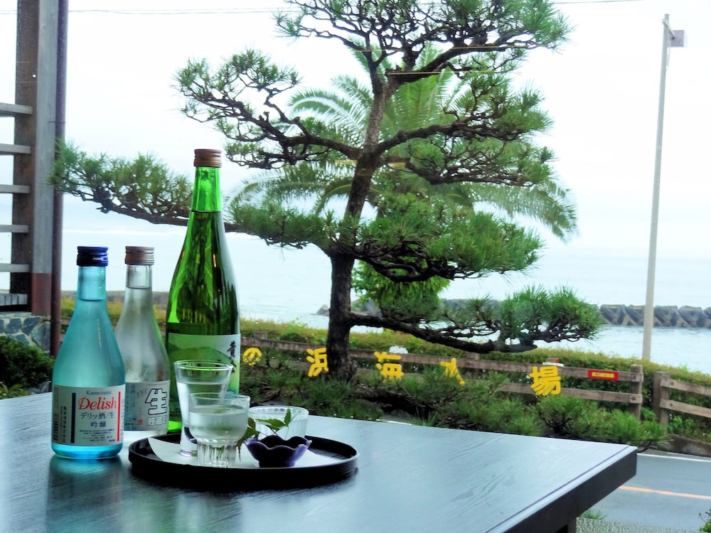 Tosaryu Onsen Sanyoso