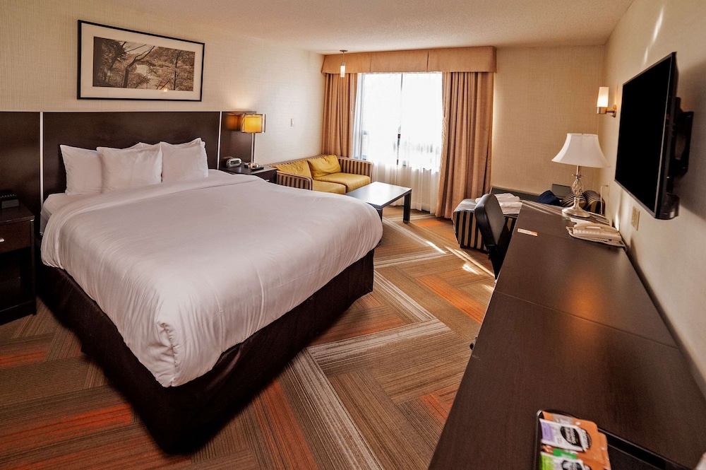 Quality Hotel - Property Image 26