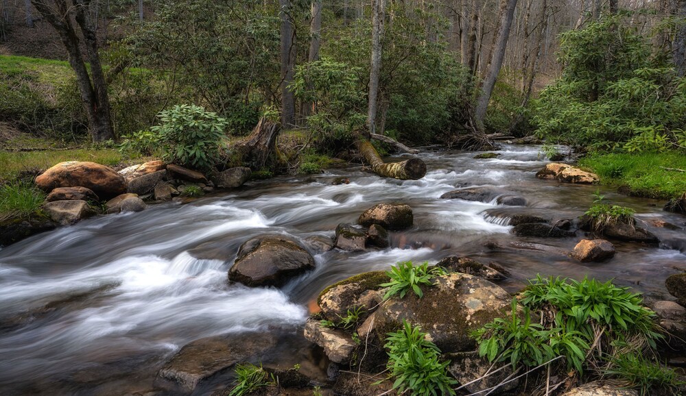 stayNantahala - Smoky Mountain Cabins