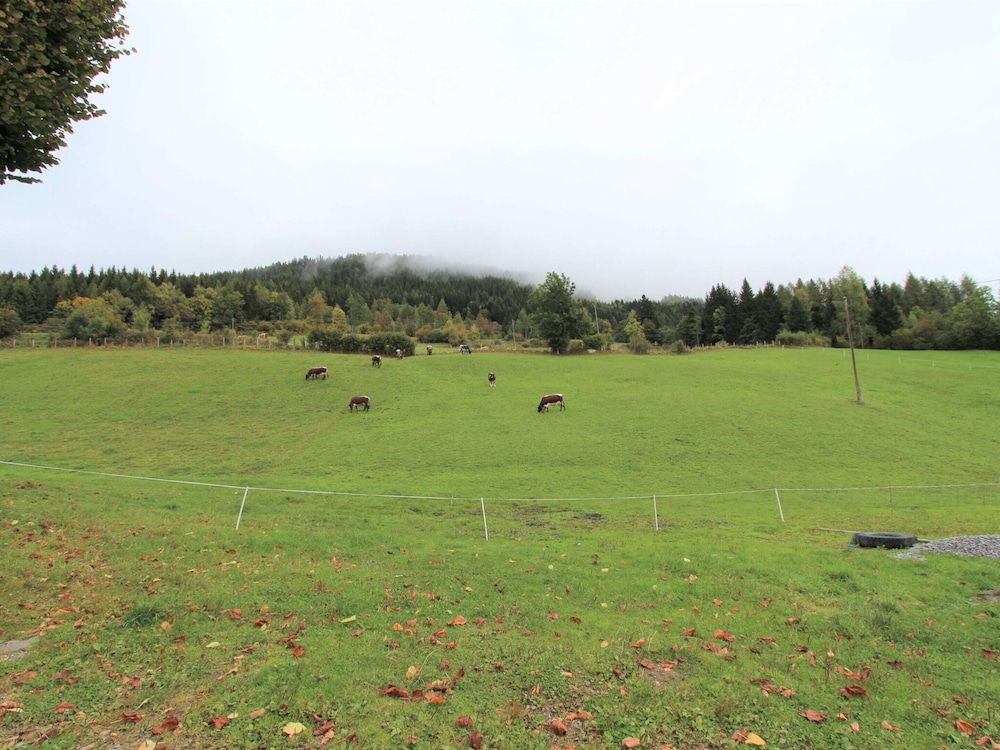 Characterful old Farmhouse With 4 Apartments in Fresach / Carinthia With Garden