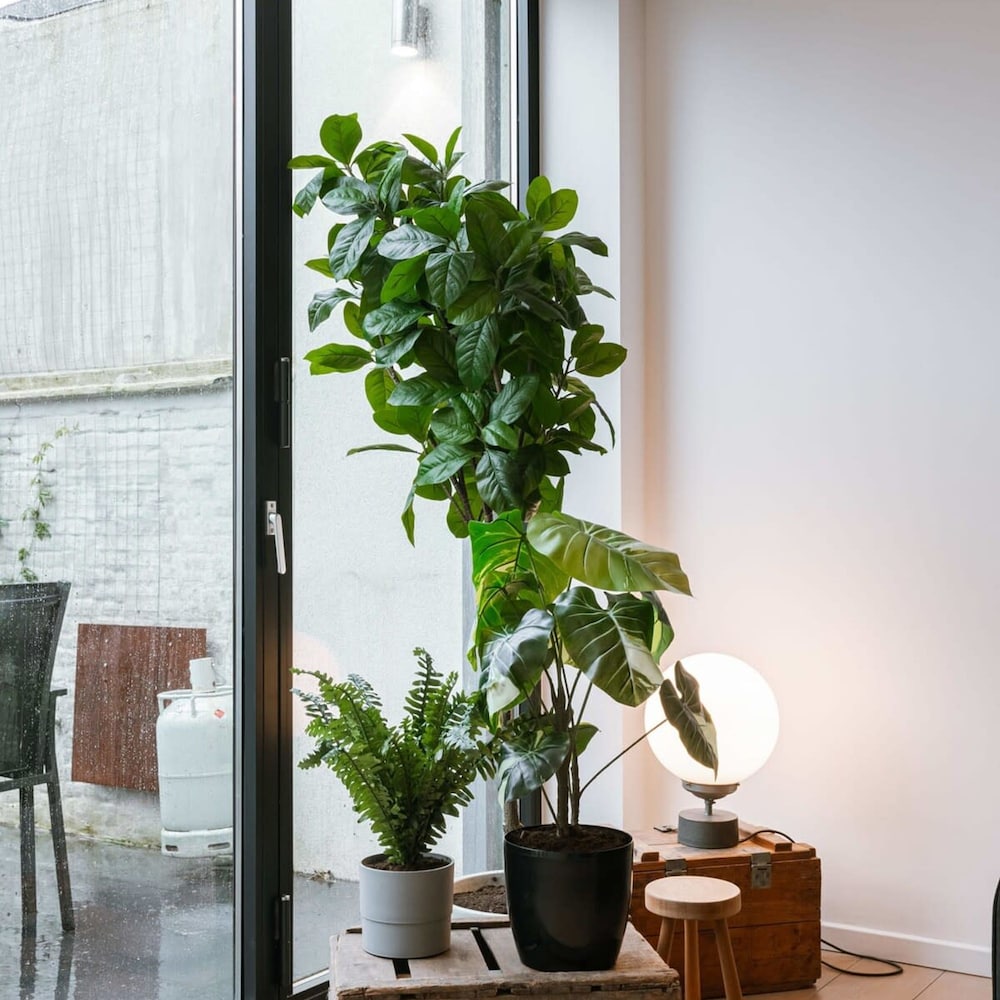 BE ANT Zons 35 in Antwerpen