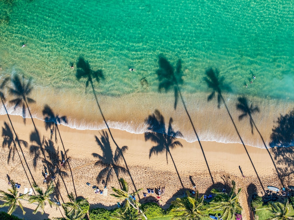 Napili Shores H262 in Lahaina