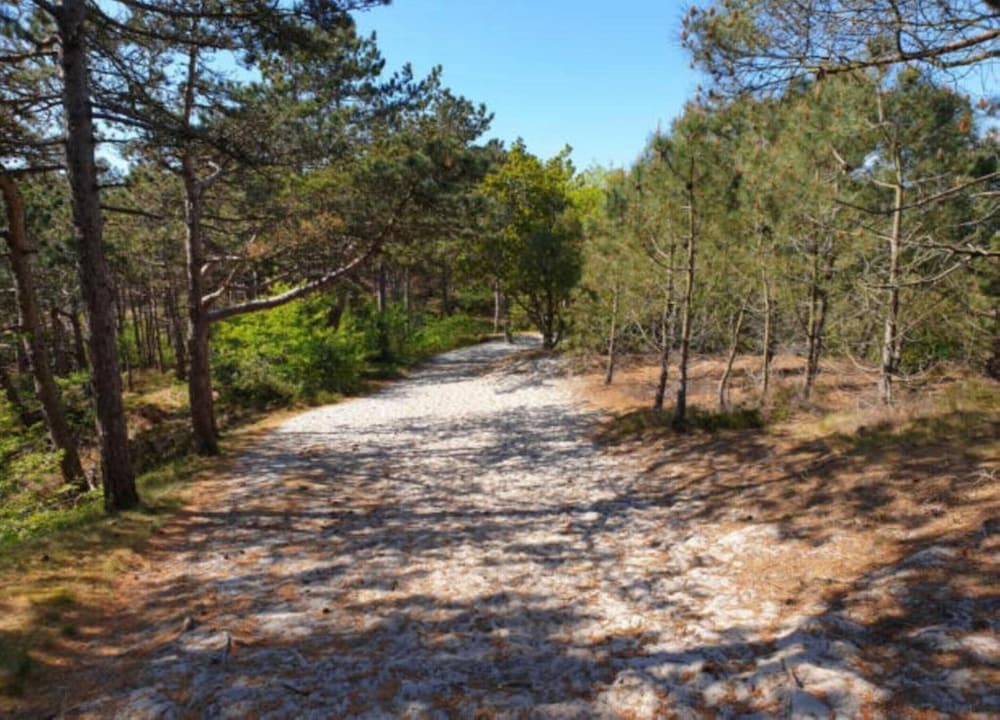 Peaceful Dune Retreat With Garden view 3
