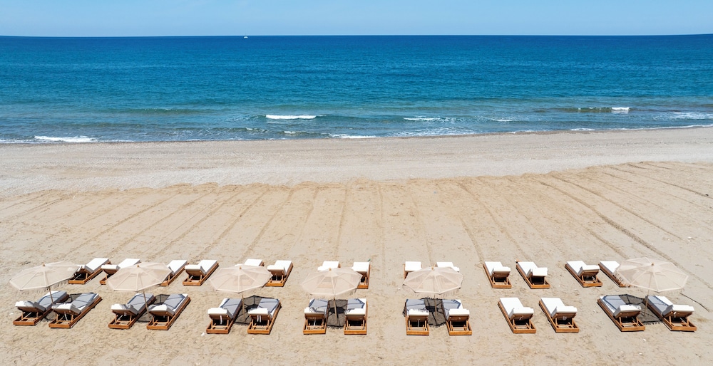 Nalu Resort & Spa photo 4