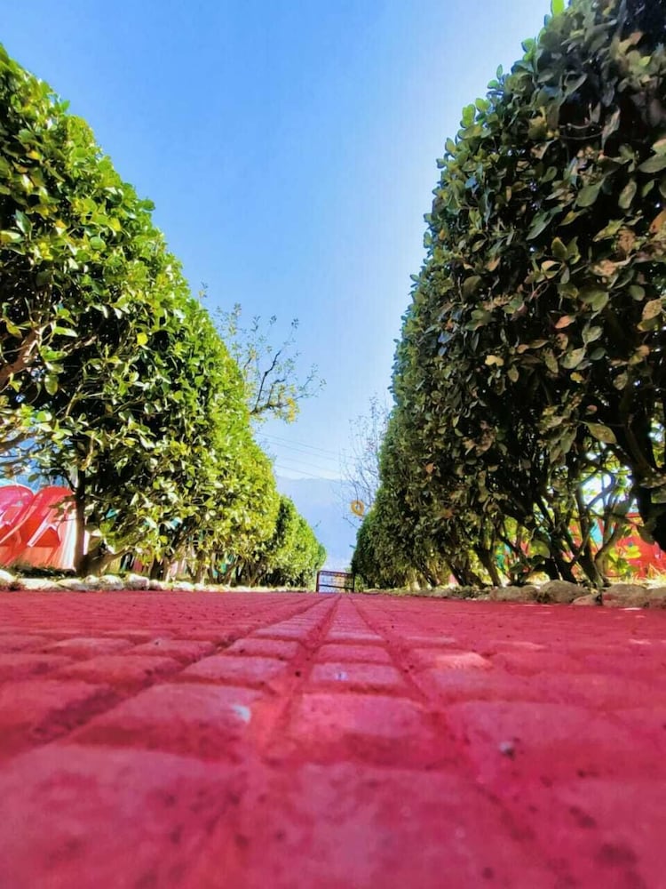 Manali Heart Villa