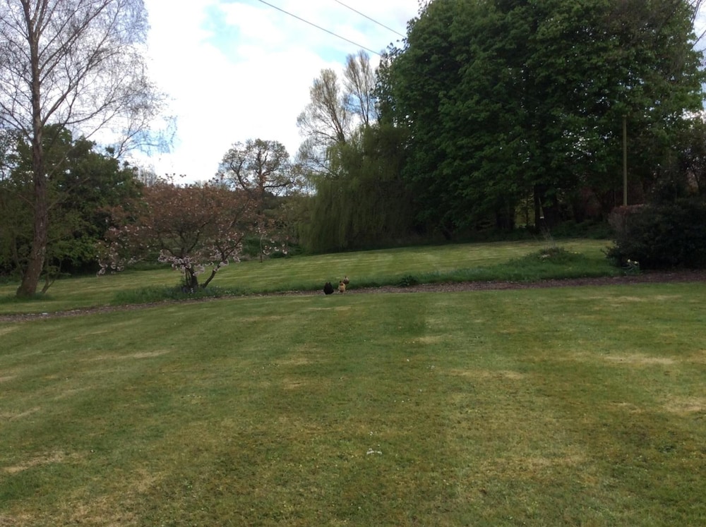 Photo 30