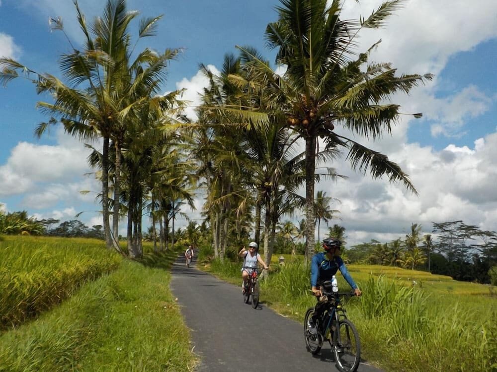 Wisaka Ubud Private Villa