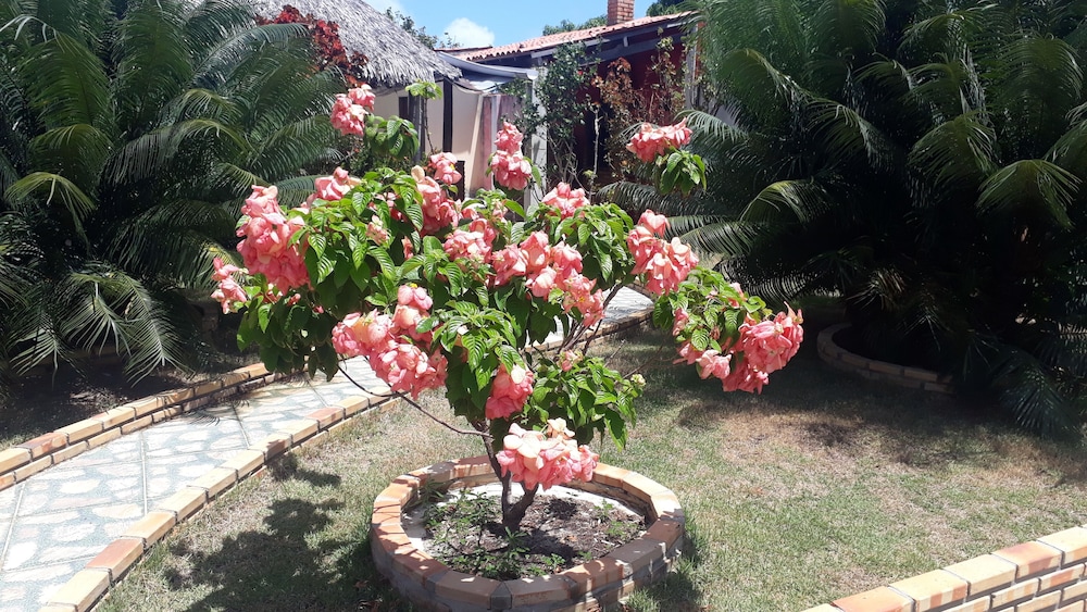 other