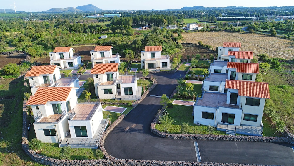 Dream in Jeju
