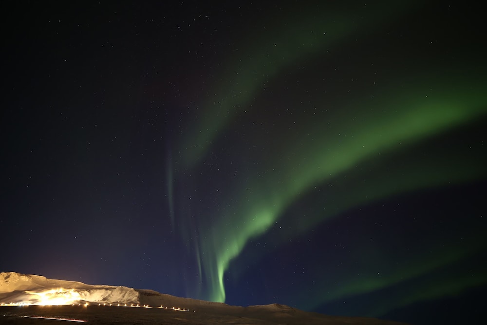 Höfði Cottages