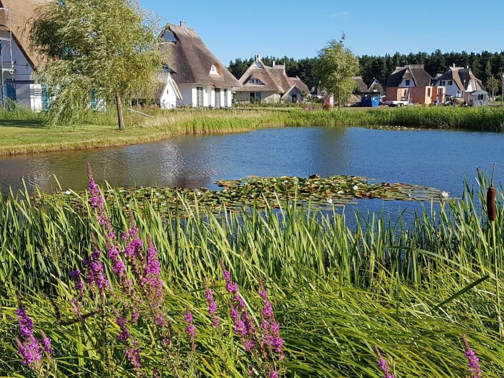 Seeschwalbe Modern Retreat