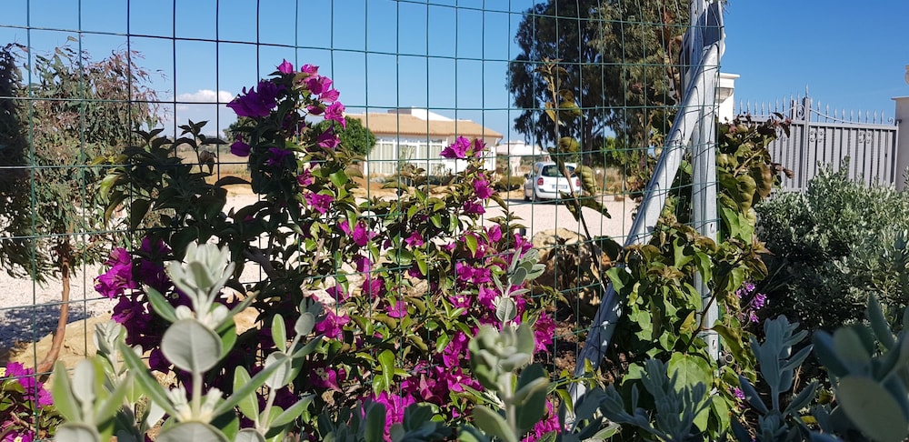Il Giardino di Afrodite