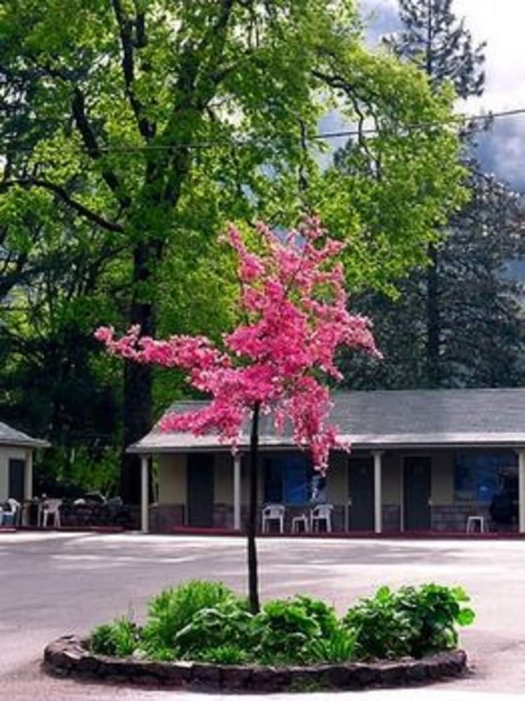 Dunsmuir Lodge