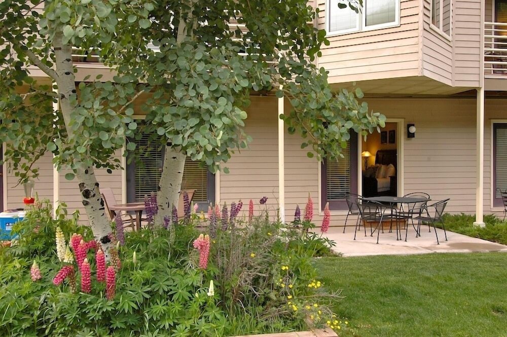 Telluride Ski Resort CO - Viking Lodge Condos