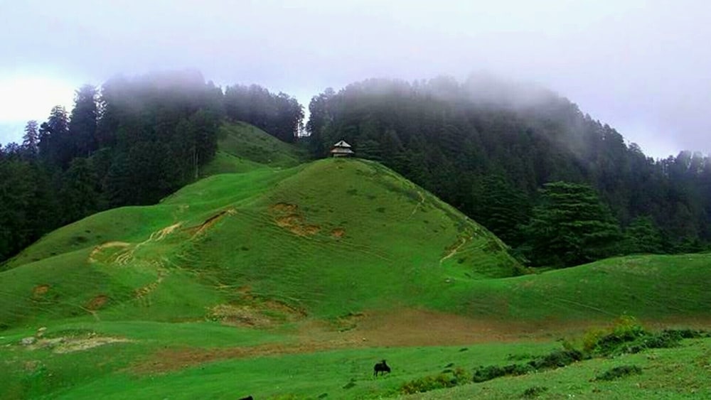 Anurag Hotel Chakrata