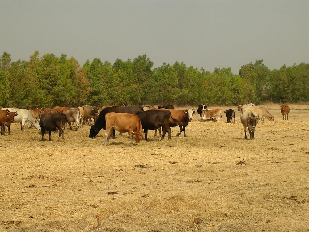 Agriturismo Agrifoglio
