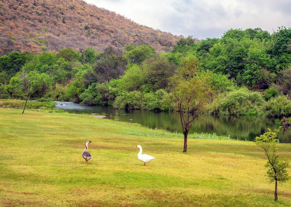 Olifants River Camping by Dream Resorts