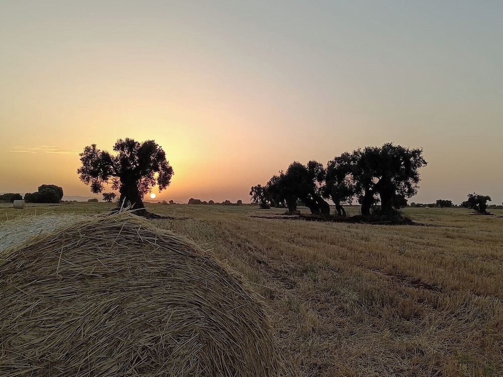 Masseria San Lorenzo Resort