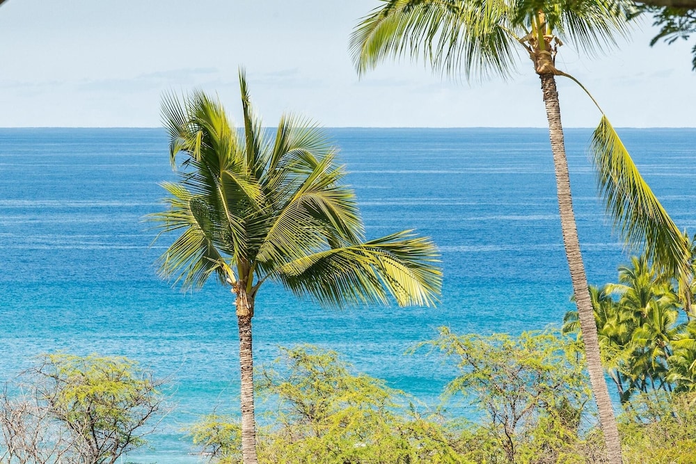 Big Island Keauhou Akahi #311 1 Bedroom Home view 3