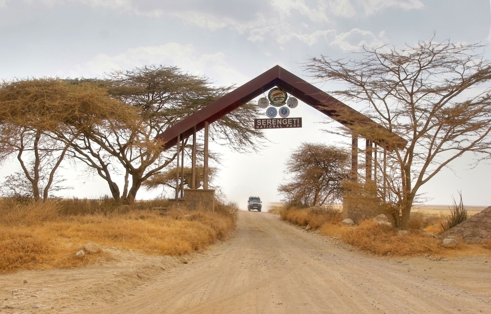 Africa Safari South Serengeti Camping