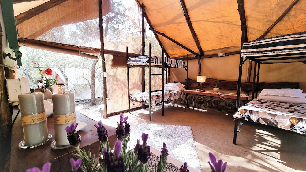 Luxurious Tented Camp