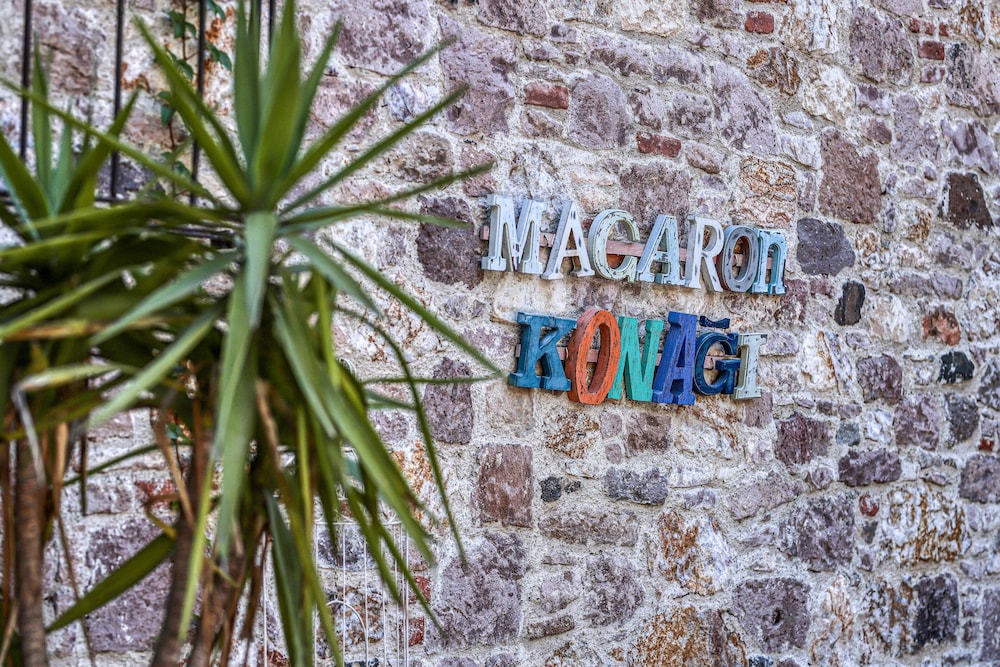 Macaron Konagi Ayvalik - Image 112