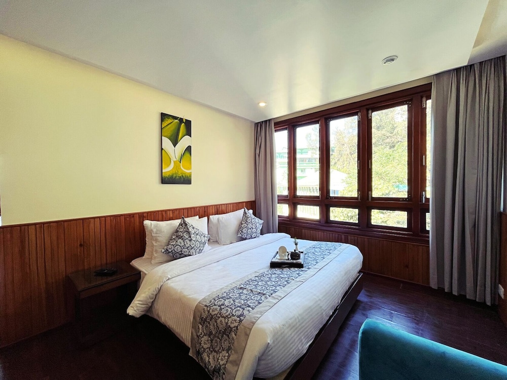 Cilantro Unwind Delisso Abode