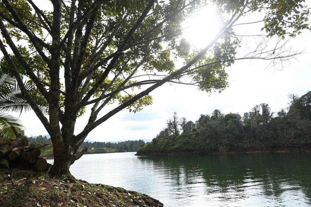 La trinidad