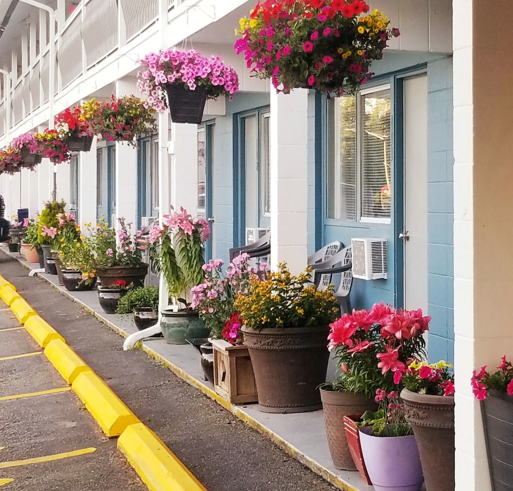 Value Lodge Economy Motel