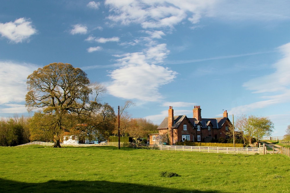 Brush and Boot B&B