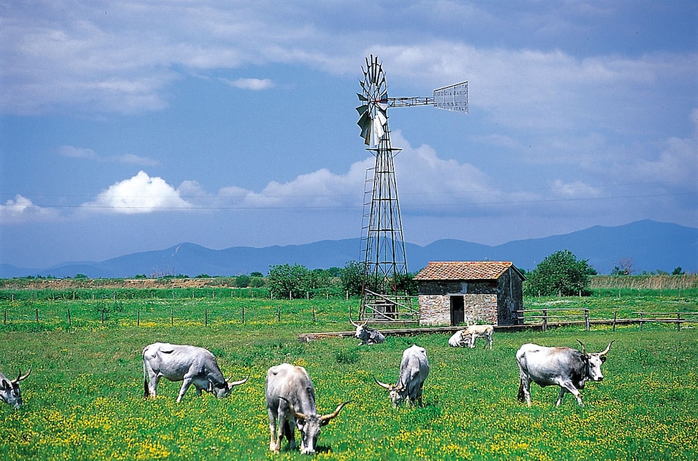 Agriturismo La pulledraia