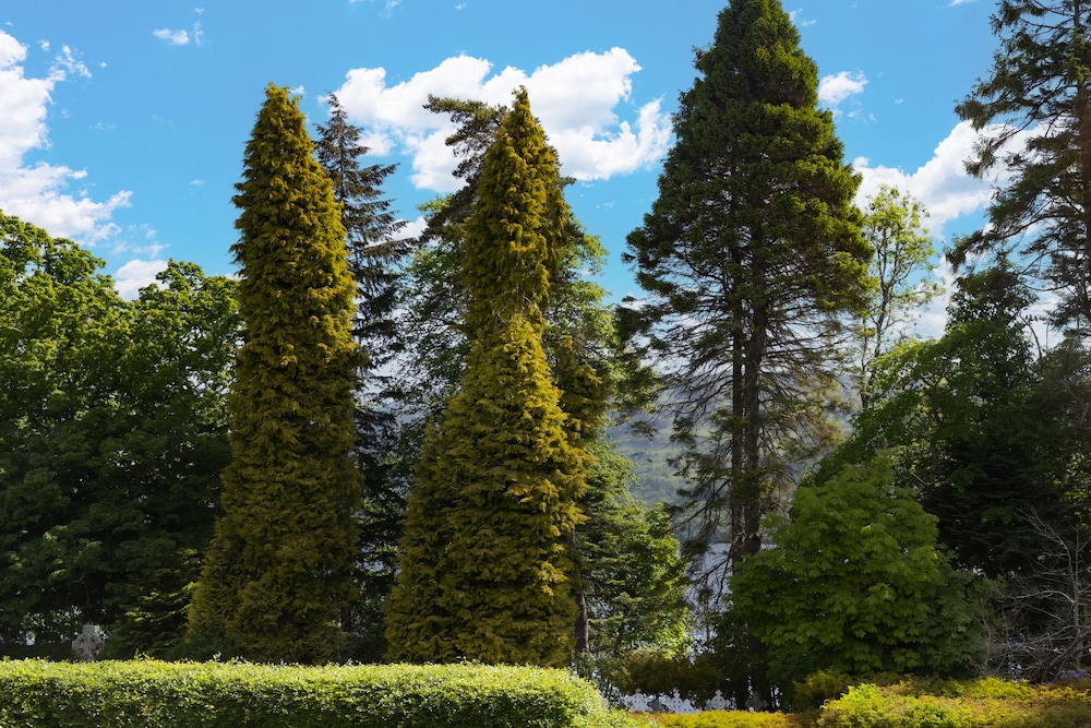The Highland Club