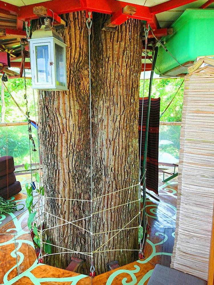 Nature Observatorio Amazing Treehouse