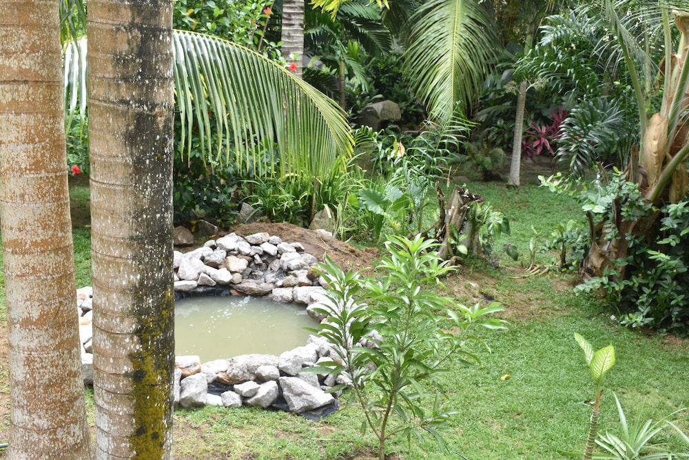 A Peace in Paradise
