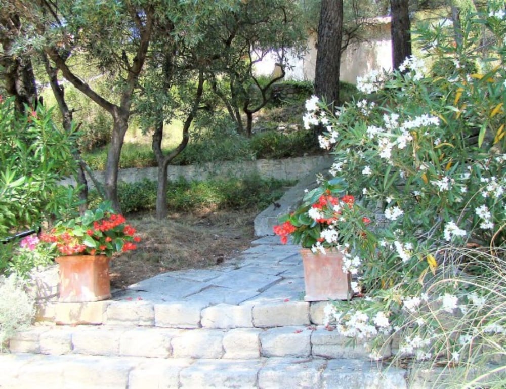 Photo 26