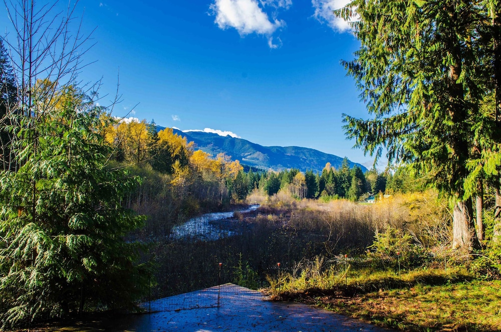 Mt Baker Rim Cabin 70 A pet Friendly Vacation Home With a hot tub and Wifi