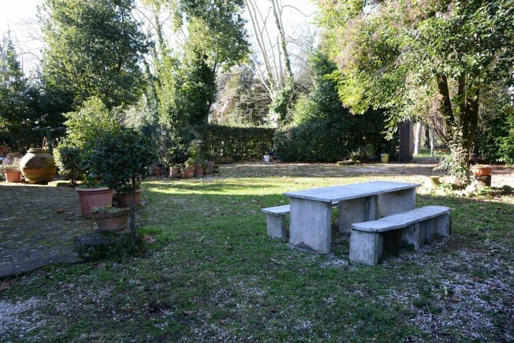 Photo 24