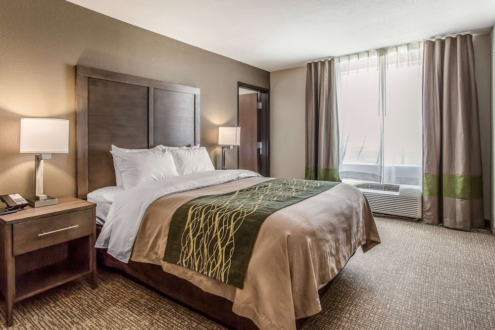 Comfort Inn & Suites Snyder