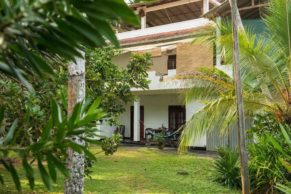 Jungleside House