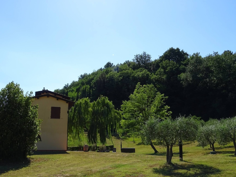 Photo 18